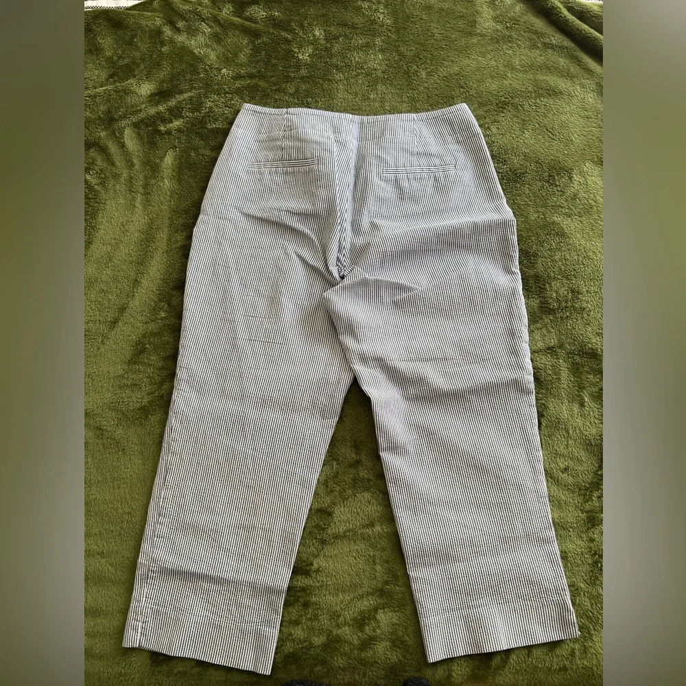 Talbots Heritage Cropped Pants - Picture 5 of 12